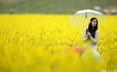 国家重视黑人问题吗